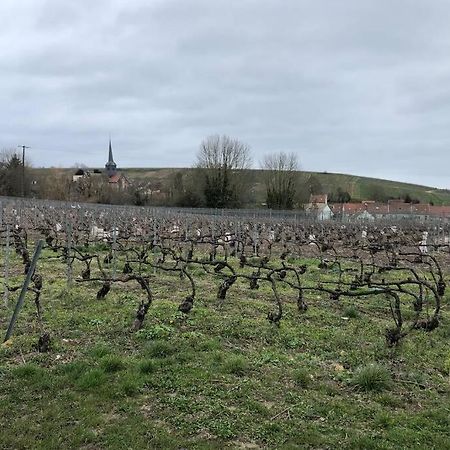 Le Petit Ecrin Champenois Daire Étoges Dış mekan fotoğraf