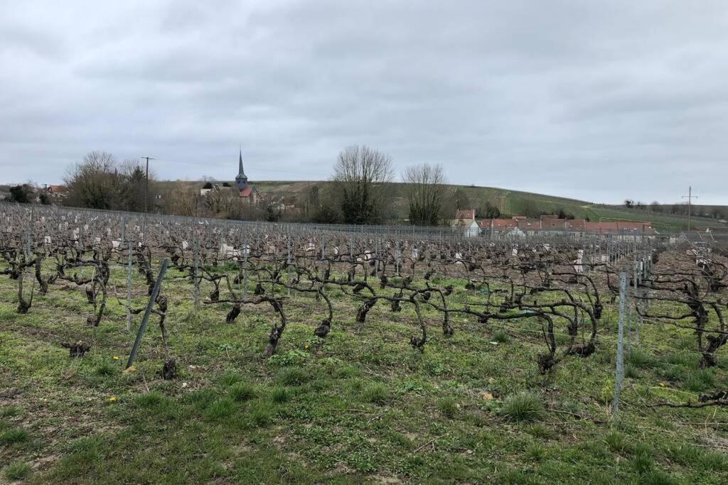 Le Petit Ecrin Champenois Daire Étoges Dış mekan fotoğraf